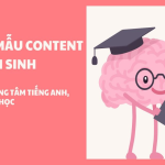Các trung tâm tiếng anh tốt ở hà nội giá hợp lý dành cho sinh viên?