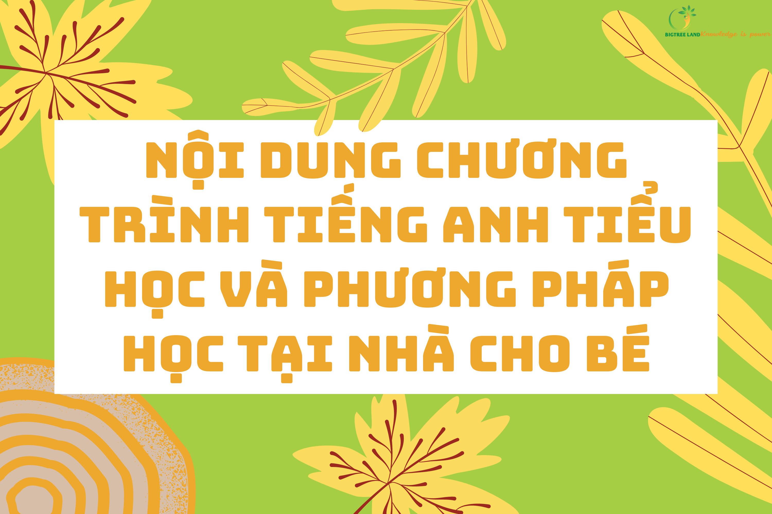Chương trình học tiếng anh tiểu học cho bé: Bí quyết học hiệu quả tại nhà!