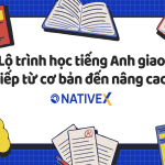 Top 3 kênh học tiếng Anh giao tiếp miễn phí tốt nhất 2024