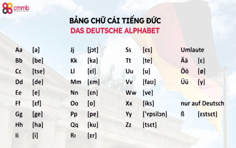 Dạy tiếng anh cho người mới bắt đầu học như thế nào cho nhanh? (Bí quyết từ chuyên gia giúp tiến bộ)
