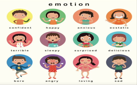 Người mới bắt đầu học tiếng anh làm sao nhanh giỏi bật mí từ chuyên gia