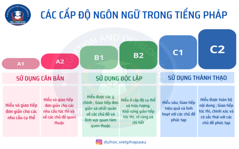 Quy trình học tiếng Anh giao tiếp hiệu quả với 5 bước cơ bản bạn cần biết