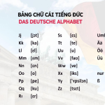 Tìm cách học anh văn cho người mới bắt đầu đâu là phương pháp tốt nhất