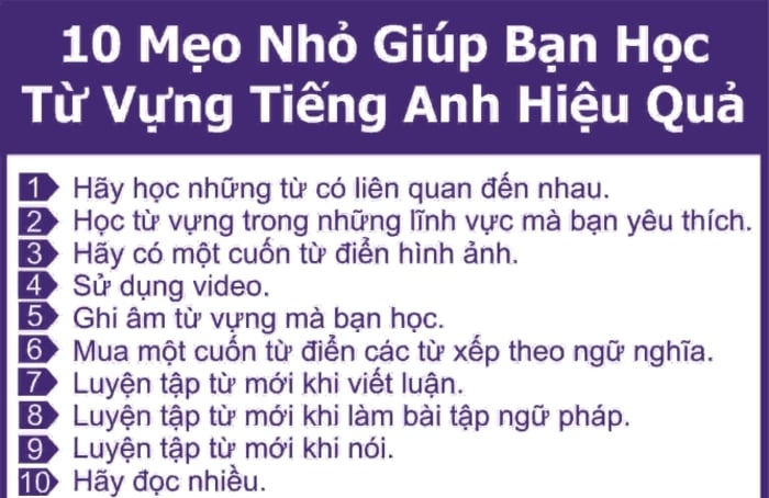 Từ vựng tiếng anh lớp 9 quan trọng nào? Ghi nhớ nhanh với phương pháp này.