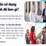 Cách học tiếng Anh giao tiếp hiệu quả nhất cho người mới: Bắt đầu từ đâu?