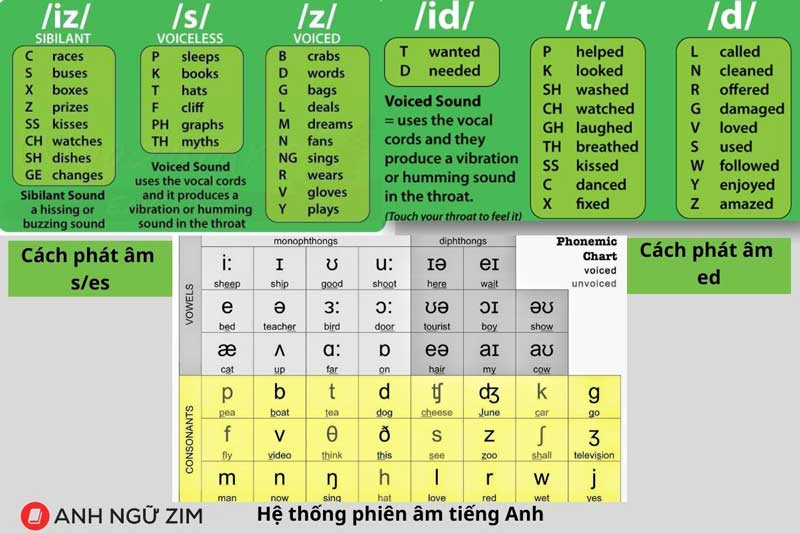 Các bước học tiếng Anh cho người mới bắt đầu như thế nào cho hiệu quả? (Áp dụng 5 bước đơn giản này)