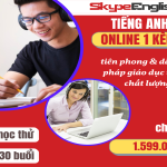 So sánh các thầy cô dạy tiếng anh online ở đâu tốt? Tiêu chí chọn nền tảng phù hợp!